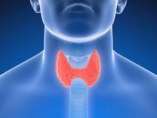 اگر این علائم را دارید، به‌داد تیروئیدتان برسید!