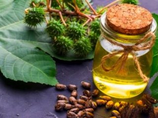 فواید روغن کرچک برای پوست صورت