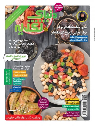 اشتراک 6 ماهه مجله دنیای تغذیه
