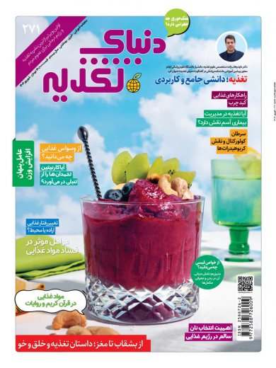 اشتراک 3 ماهه مجله دنیای تغذیه