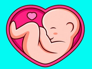 آماده سازی شرایط برای «مادر شدن» در وقتی دیگر