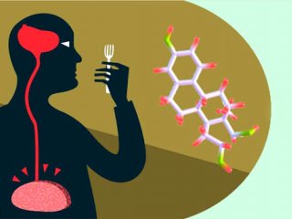 نقش هورمون ها در روند کاهش وزن