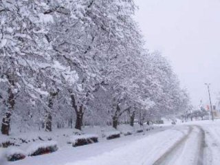 کولاک برف، یخبندان و سوزباد در راه است