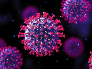 هشدار شیوع ۳ ویروس در ایران