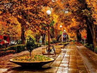 پاییز تهران خشکتر از تابستان خواهد بود