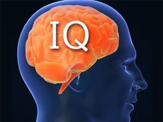 سطح IQ خود را با این تصویر بسنجید