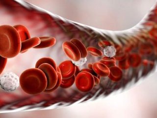 کمبود کدام ویتامین باعث افزایش ابتلا به عفونت می‌شود؟