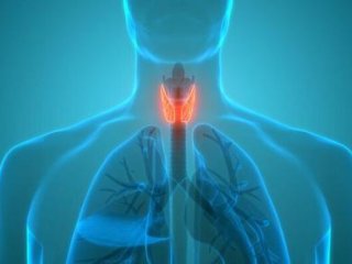 مشکلات تیروئید یکی از شایع‌ترین اختلالات غدد درون‌ریز است