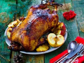 خواص باورنکردنی گوشت غاز برای سلامت و درمان + عوارض