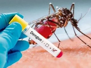 هشدار «تب دنگی»؛ علائم و راه تشخیص بیماری
