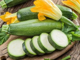 هشداری جدی؛ آنچه باید درباره مسمومیت با کدو سبز بدانید