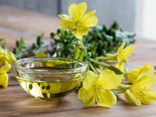 روغن گل مغربی چه فایده‌ای دارد؟