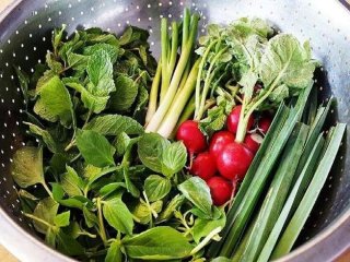 فوت‌وفن نگهداری سبزیجات