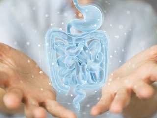 حفظ سلامت روده با ۴ ویتامین‌ کلیدی