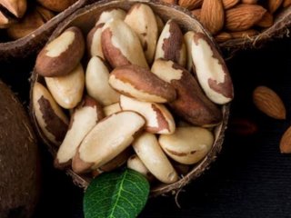 ۷ نکته‌ای که پیش از مصرف روزانه‌ی آجیل برزیلی باید بدانید!