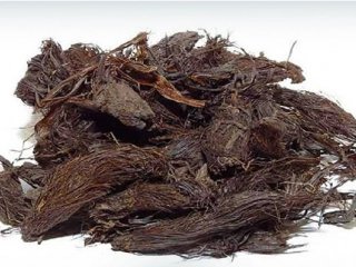 خواص سنبل الطیب؛ فواید گیاه علف گربه برای اعصاب و قلب