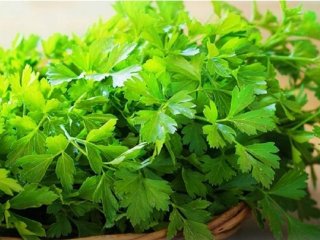 خواص جعفری برای درمان ۲۲ بیماری