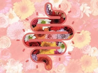 ۵ عادت طلایی برای داشتن «روده‌ای سالم» به گفته یک متخصص گوارش