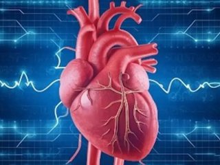 توصیه‌های طب ایرانی برای سلامت قلب
