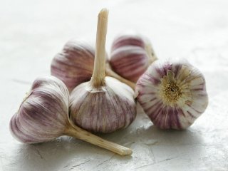 آشنایی با فواید بی‌شمار سیر