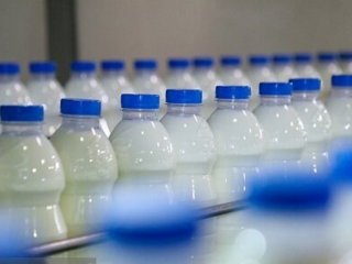 ردپای «لبنیات» در افزایش بار بیماری استخوان شکن!