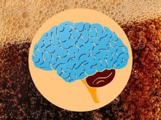 مصرف روزانه نوشابه رژیمی و تاثیر شوکه‌کننده آن بر مغز
