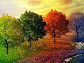 مزاج سرد و خشک پاییز و چالش‌های جسمی و روانی آن