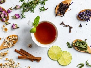 دم‌نوش‌ها و نوشیدنی‌های گیاهی عالی برای هر زمان
