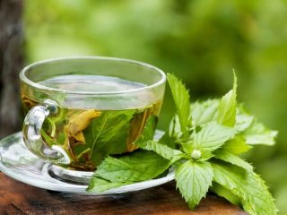 درمان التهاب معده با این داروی گیاهی