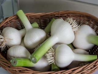 ۵ روش پوست کندن سیر تازه؛ آسان و کاربردی