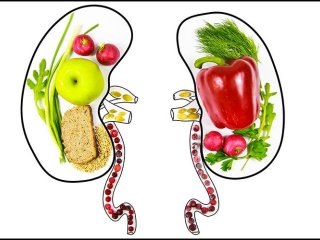 تغذیه مناسب برای کاهش خطر ابتلا به سنگ کلیه