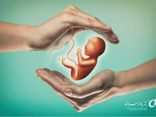 احتمال جابه جایی جنین در روش IVF چقدر است؟