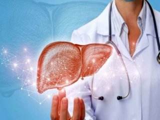 باورهای غلط برای درمان کبد چرب؛ این سه روش را فراموش کنید