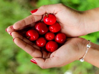 خوراکی های رایجی که می توانند سمی باشند