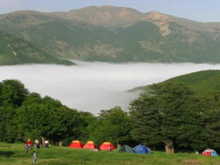 ۵ جنگل ابر رویایی شمال که باید ببینید