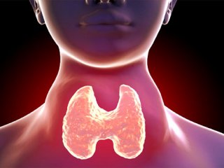 تیروئید چیست؟