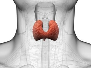 ۱۰ نشانه که غده تیروئید شما کار نمی‌کند