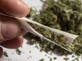 آمار نگران کننده میزان مخدر گل در کشور؛ ۱۰ برابر بیشتر از سایر کشورها