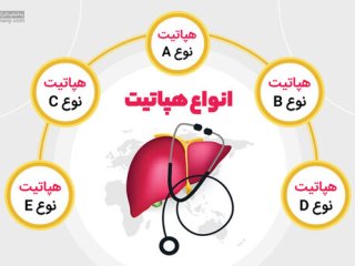 هپاتیت مستقیم این عضو بدن را هدف قرار می دهد؟