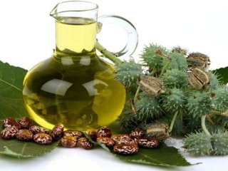 آشنایی با خواص شگفت‌انگیز روغن کرچک