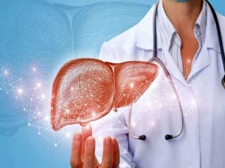 چهار توصیه برای درمان کبد چرب