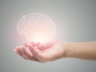 کمبود این ویتامین‌ها مغز را تنبل و متوهم می‌کند