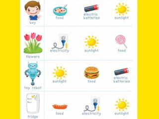 منبع‌های انرژی