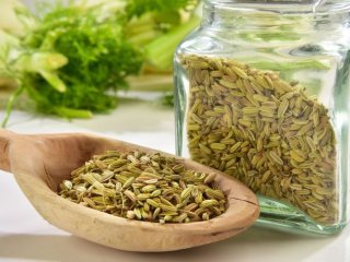 این گیاه ضد پیری معجزه می‌کند!