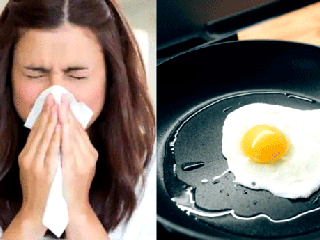 شیوع آنفولانزای تفلون در امریکا