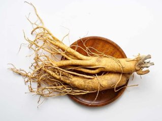 خواص جینسینگ برای مردان و زنان