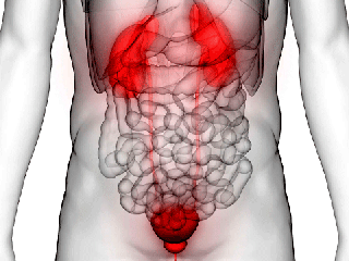 پیشگیری از بیماری های دستگاه دفع ادرار