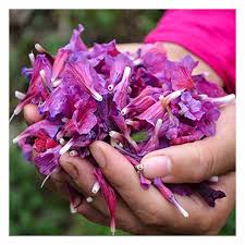 این داروی گیاهی فشار خون را کنترل می‌کند