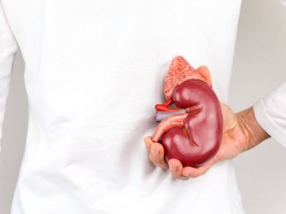 چه مقدار آب برای سلامت کلیه‌ها لازم است؟