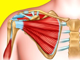 درد های ناحیه شانه را جدی بگیرید